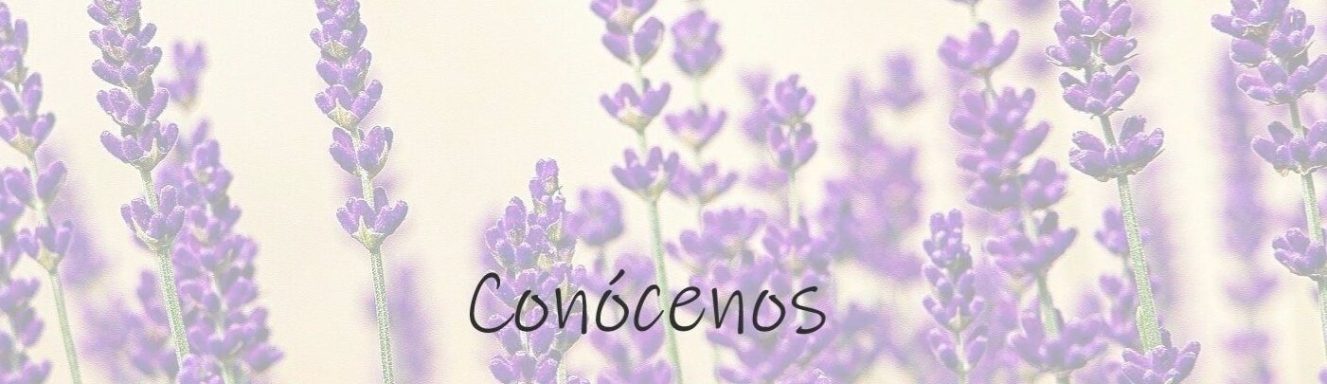 Diseño sin título (5)