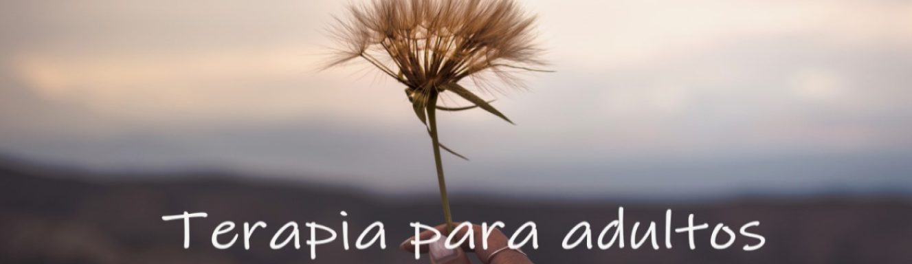 terapia adultos1